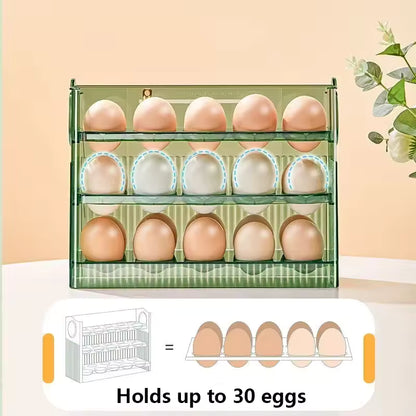 Organizador de Huevos 🥚✨